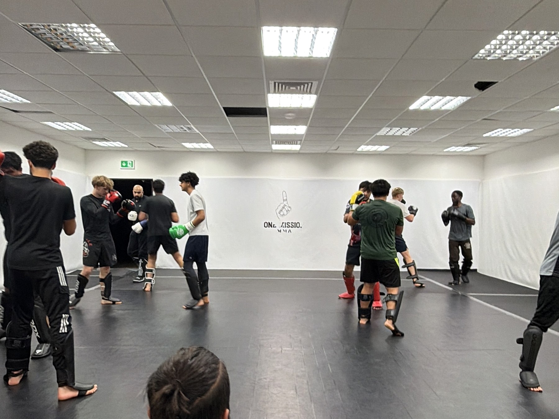 Adults classes at One Mission MMA