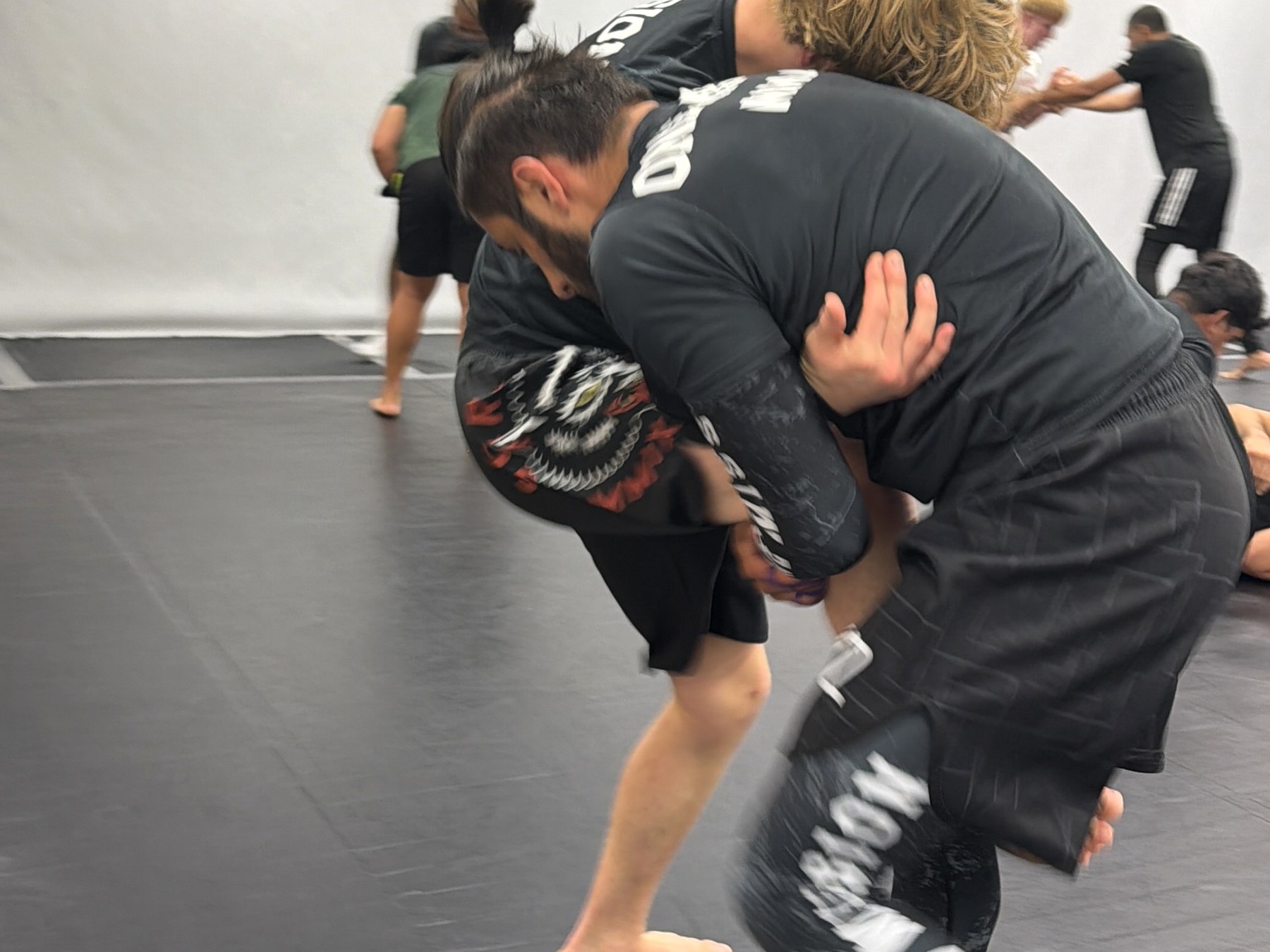 Wrestling & Grappling classes in Reading