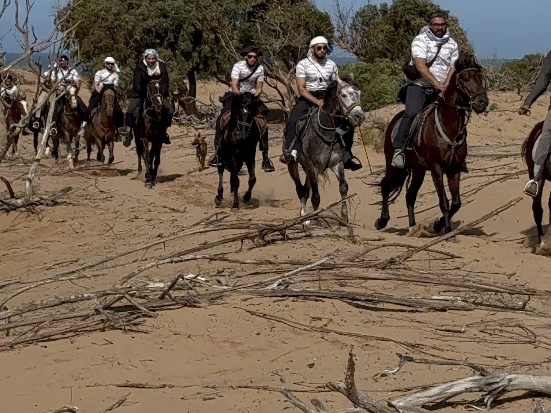 Group horse riding outdoors in Morocco